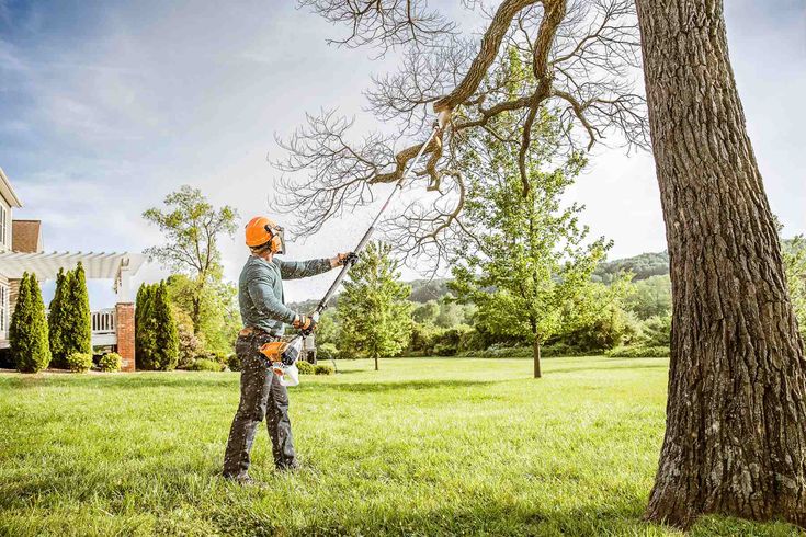 Studio Green tree maintenance