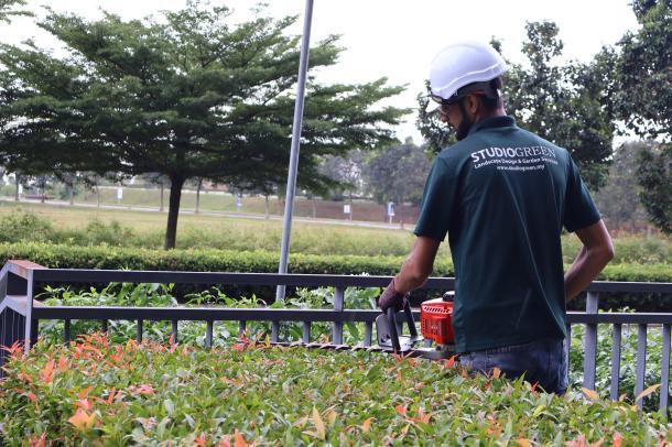 Garden landscaping