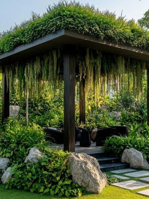 Tropical landscape