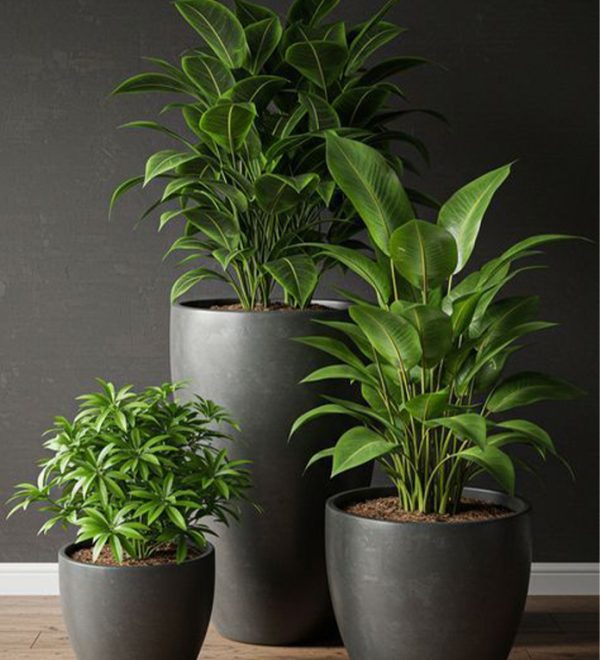 Artboard 13 Modern plant landscape design