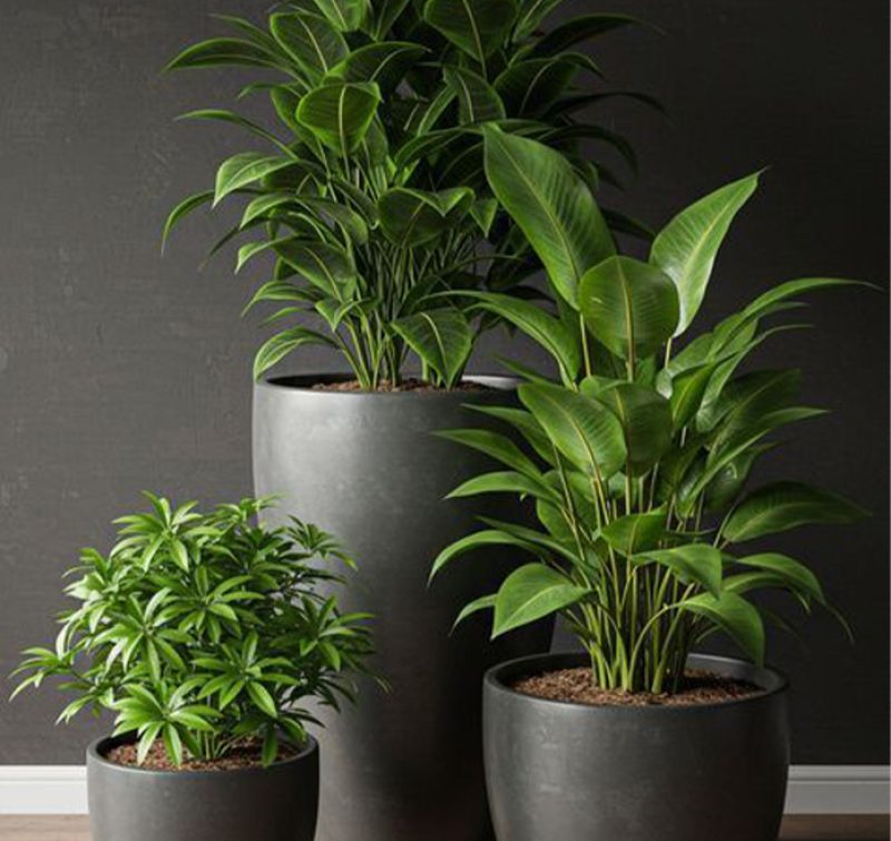 Artboard 13 Modern plant landscape design
