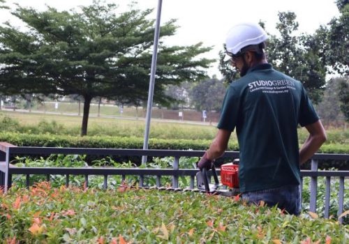 Garden landscaping