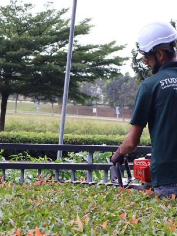 Garden landscaping